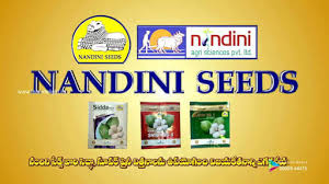 Nandini Seeds